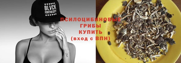 героин Алексин