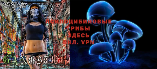 PSILOCYBIN Вязники