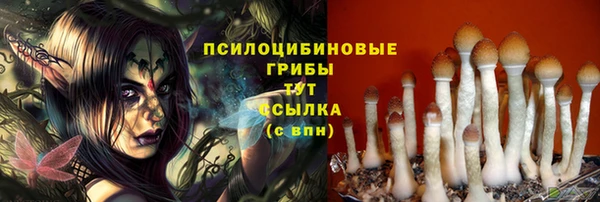 дмт Алексеевка