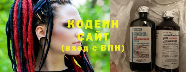 гашик Алзамай
