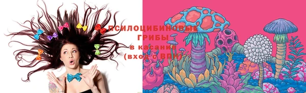 дмт Алексеевка