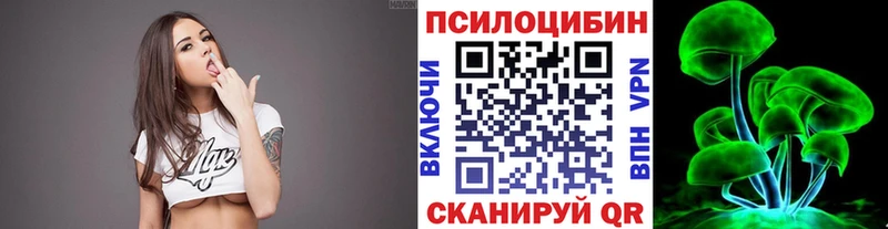 Купить закладки  Новое Девяткино  Галлюциногенные грибы Cubensis 
