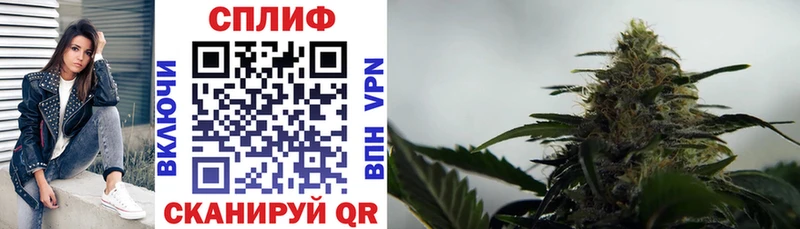 Бошки марихуана тримм  Купить где  Новое Девяткино 